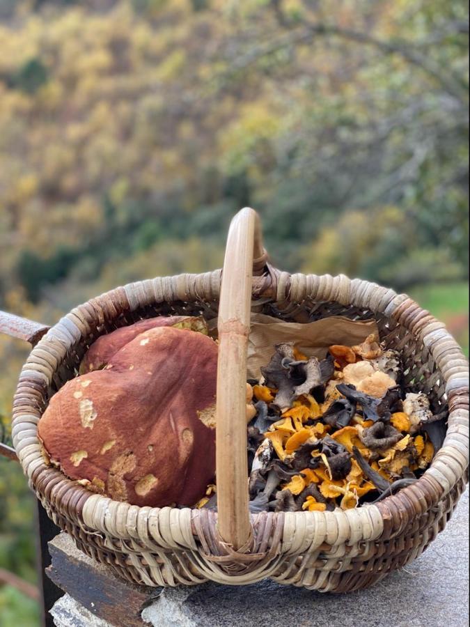 Domaine Le Verdier Saint-Michel-de-Dèze Екстериор снимка